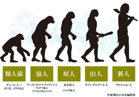 旧人 意味|旧人類(キュウジンルイ)とは？ 意味や使い方